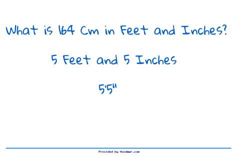 164cm in feet and inches